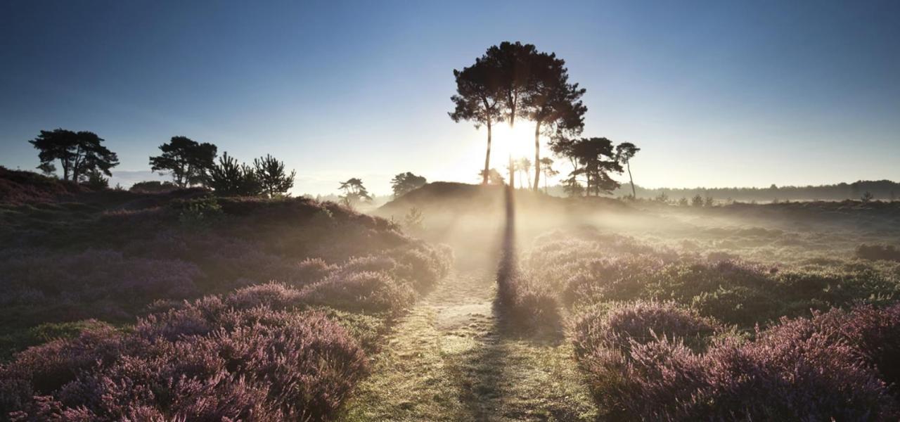 Heerlijke Vakantiewoning Veluwse Bossen Putten Bagian luar foto