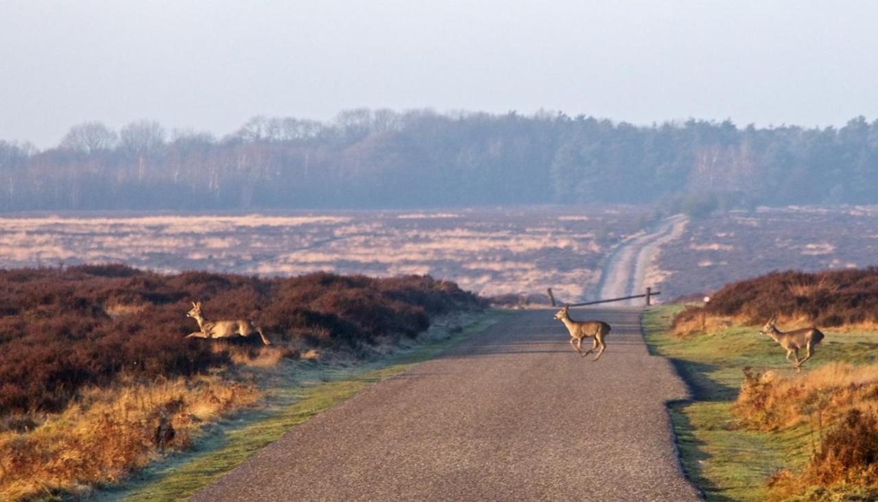 Heerlijke Vakantiewoning Veluwse Bossen Putten Bagian luar foto