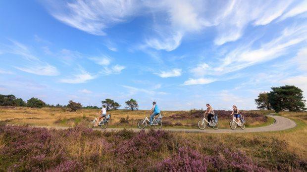 Heerlijke Vakantiewoning Veluwse Bossen Putten Bagian luar foto