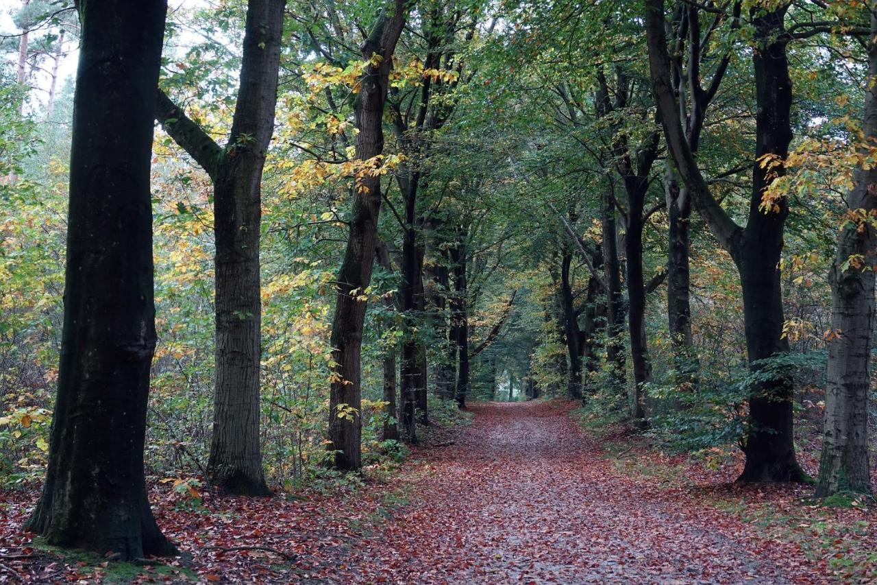 Heerlijke Vakantiewoning Veluwse Bossen Putten Bagian luar foto