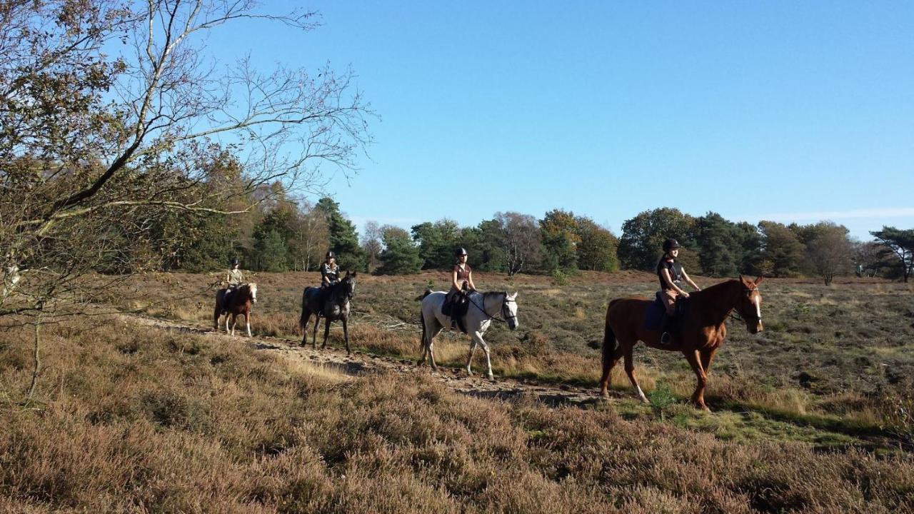 Heerlijke Vakantiewoning Veluwse Bossen Putten Bagian luar foto